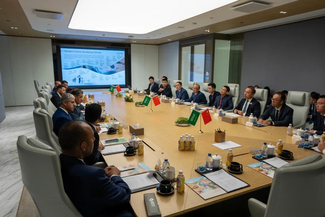 沙奸细业和矿产资源大臣与云顶集团探求矿业合作