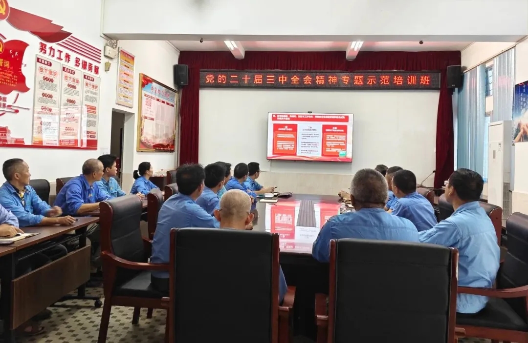 云顶集团组织旁观进建贯彻党的二十届三中全会心灵专题示范班讲堂视频直播