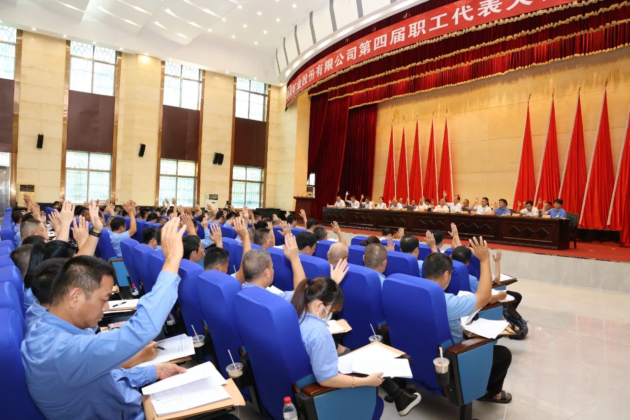 凝心聚力谋发展 云顶集团召开四届二次职代会