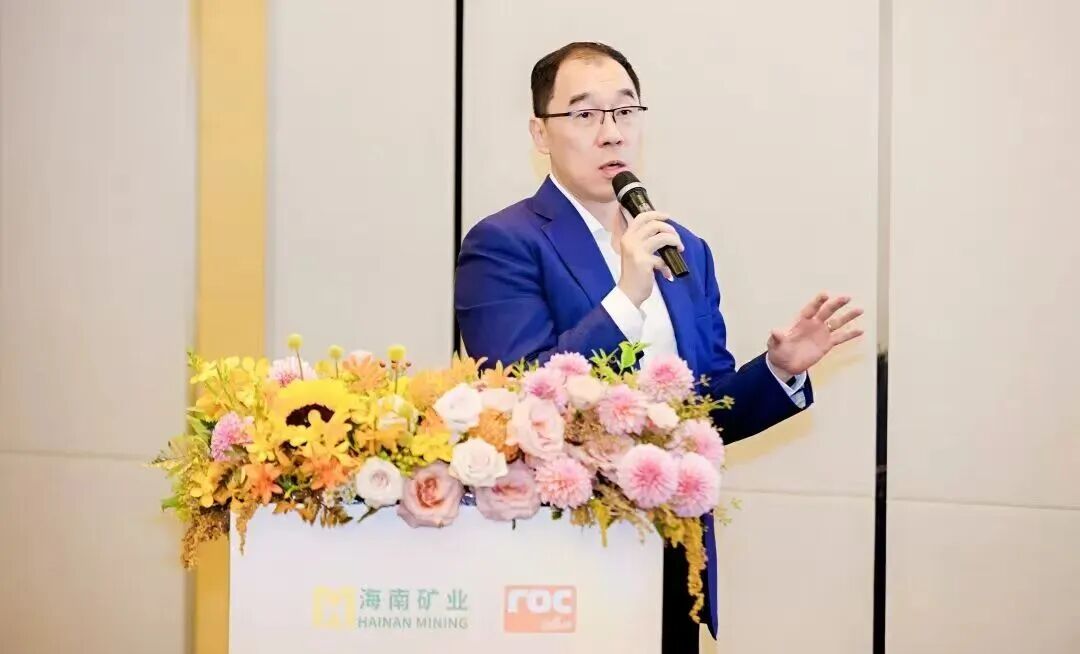 云顶集团董事长滕磊：借自贸港政策买通跨境资金链 构建“海表资源+海南加工”模式